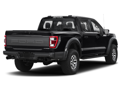 2021 Ford F-150 Raptor 37 PERFORMANCE PACKAGE