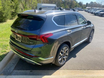 2023 Hyundai Santa Fe Calligraphy